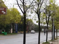 Wencheng Wufu Farmhouse