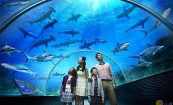National Museum Marine Biology & Aquarium