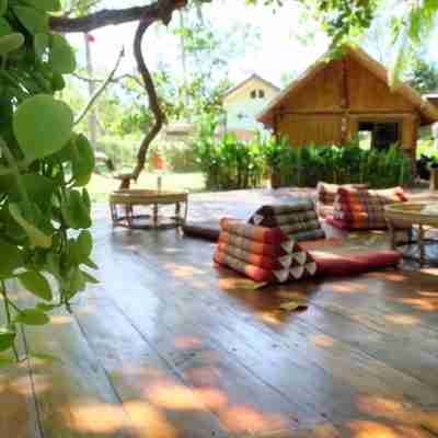 Coffee and Resort Others