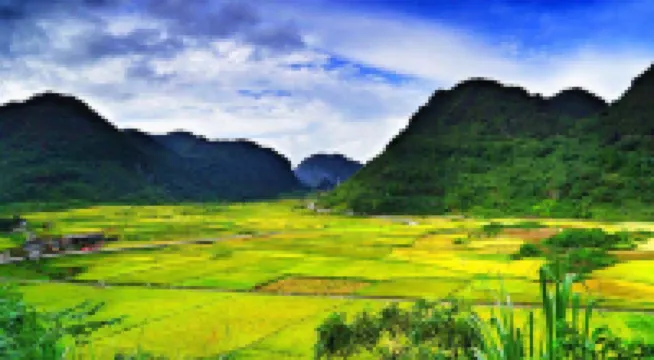 Libomaolan Shuangshuang Nongjiale