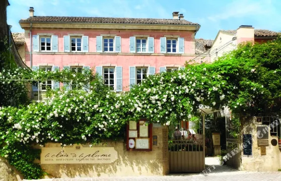 透明羽毛酒店 - Teritoria