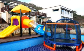 Pygmalion Pension