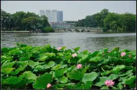 อี้หมี่ โฮเทล กว่างโจว ปักกิ่ง โรด ถนนคนเดิน ตวนอี้ สถานีรถไฟใต้ดิน