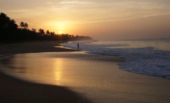 Lanka Beach Bungalows