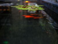 邛崃木石山居 - 其他