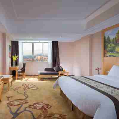 維也納國際酒店（陽春店） Rooms