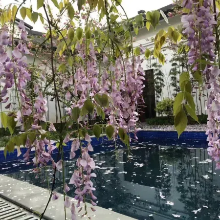 Xintiandi Leisure Park