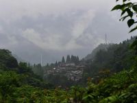 青城山山野山也温泉民宿 - 酒店景观