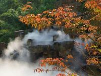 锦江都城(宜兴高铁站南岳山庄店) - 花园