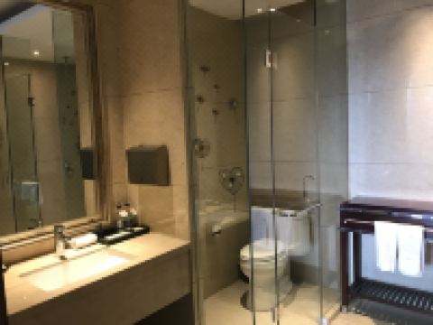 辽宁中伟假日国际酒店 - 豪华套房