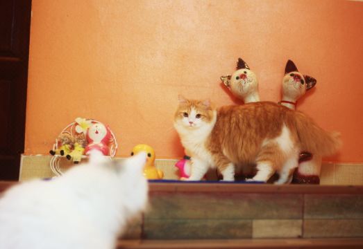 게스트하우스 공용공간