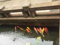 宁波素心别院 - 浪漫大床房