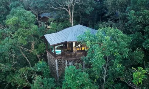 Red Panda Manor Pu’re