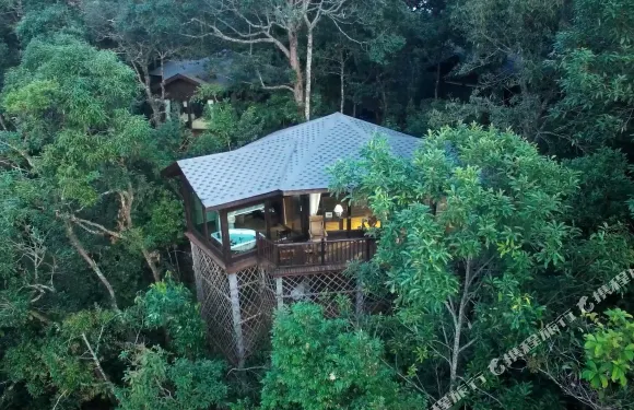 普洱小熊貓莊園