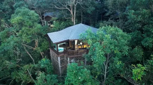 Red Panda Manor Pu’re