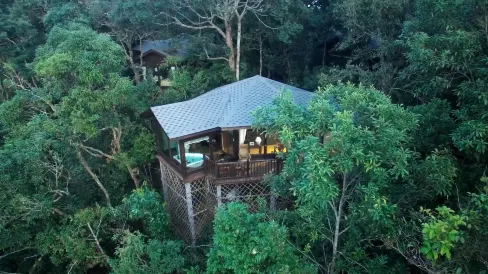 Red Panda Manor Pu’re