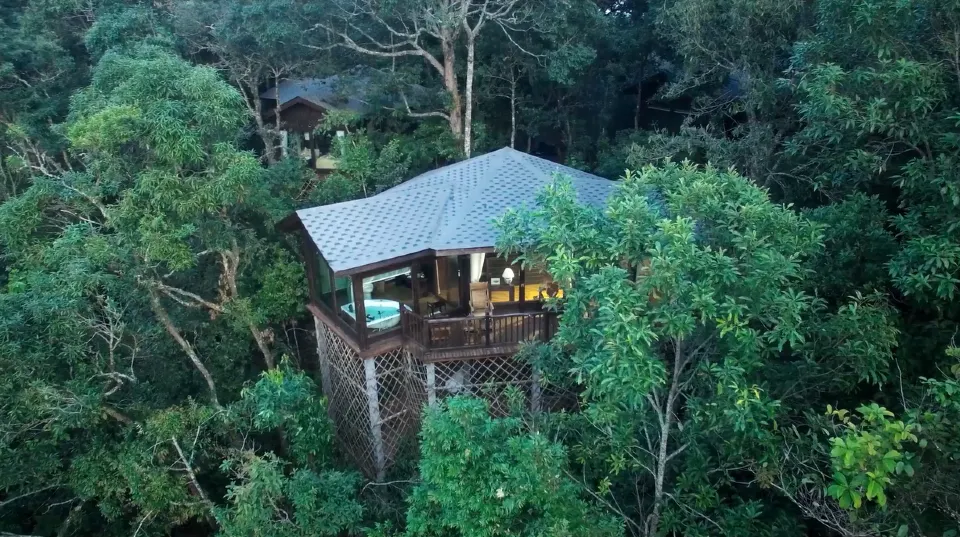 Red Panda Manor Pu’re