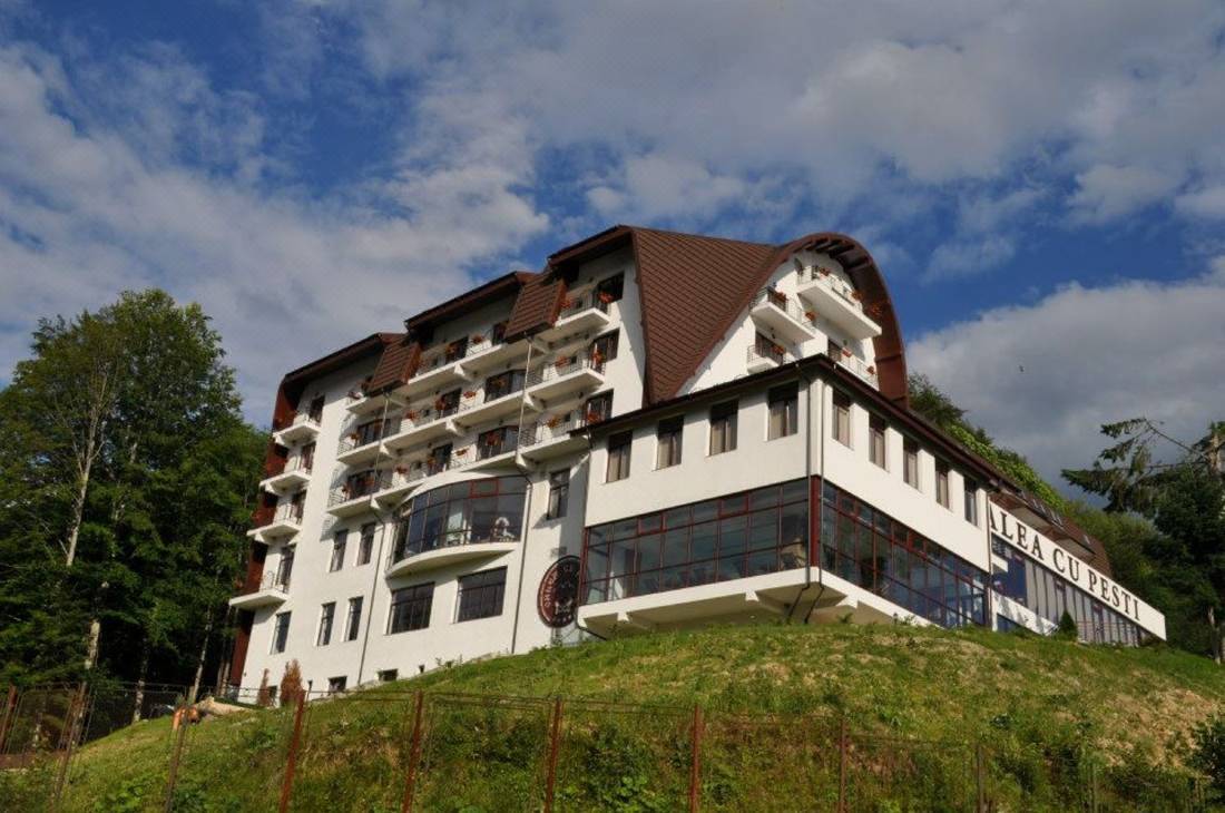 Hotel Valea cu Pesti-Arefu Updated 2022 Room Price-Reviews & Deals |  Trip.com