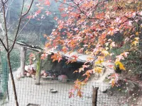 Jinggangshan Mountain Villa Holiday Farmhouse Hotels in der Nähe von Getian Station
