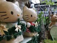 타이베이 시티 호스텔