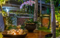 Dream Garden Villa Hotel Night Bazaar ChiangMai