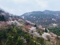 信阳桃花源酒店 - 酒店附近