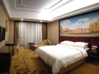 维也纳国际酒店(海丰深汕合作区店) - 标准大床房