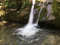 青城山茂林雅居 - 酒店附近