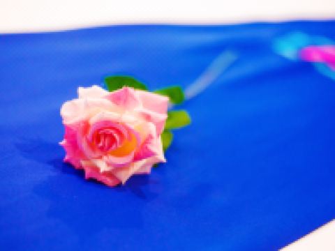 派酒店(商丘归德路市政府店) - 其他