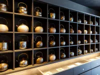 Hotel Ninja Black Hotel di Kyoto