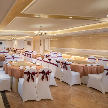 Vienna International Hotel (Danzhou Yangpu)
