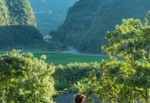 Xingyi Wanfenglin Yueqili Homestay Hotel Overview