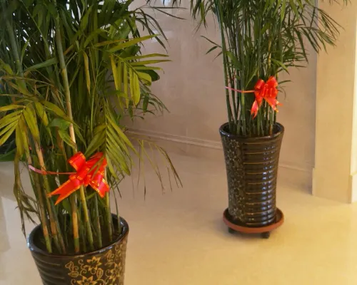 Vienna Hotel (Shenyang Central Street) Photos