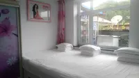 Kuandian Qingchuan Farm Stay
