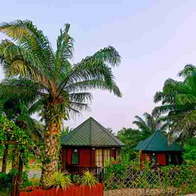 Perfect Forest Eco-Resort Hotel Exterior