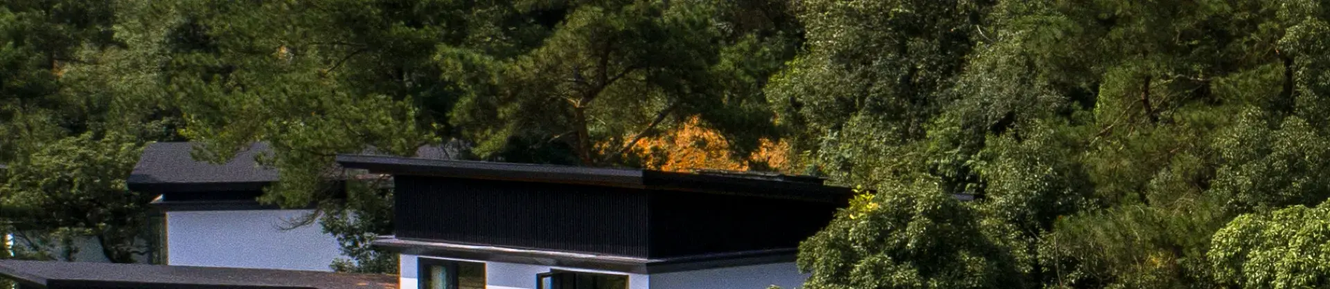 Scenic Hotels