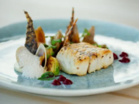 タロンガにあるワイルドライフ リトリート モスマンのホテル