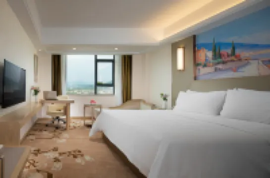 Vienna International Hotel(Jieyang High Speed Rail Station Branch)