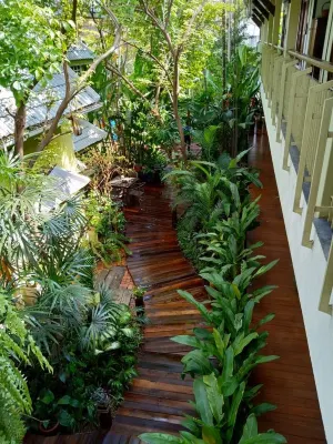 The Twenty Lodge Hotels in Chiang Mai