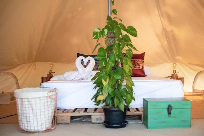 Roost Glamping