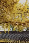 Dragon Garden Hotel Hotel di Chengdu