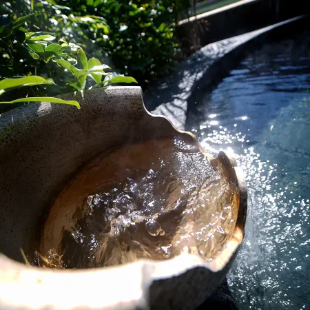 Wutong Hot Spring Hotel