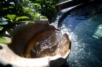 Wutong Hot Spring Hotel - Pemandian Air Panas