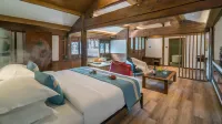 Artistic Suite
