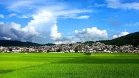Home-Like Garden Inn