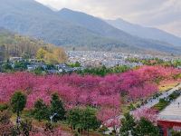 大理花间堂精品民宿 - 酒店附近