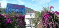 Baoshan Daha Resort Villa Hotel 바이화링/백화령 생태관광단지 주변 호텔