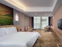 维也纳国际酒店(怀化城市中央店) - 标准助眠大床房