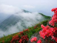 衡山云峰山庄 - 酒店附近