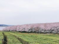 贵阳花缦主题酒店 - 酒店附近